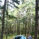 ���������� �����������, ���� ������� �����, 35 ���, ������������ ��� ������, ����� � ���������, c�������� ���������