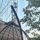 ���������� ������������, ���� ������� ������, 46 ���, ������������ ��� ������, ����� � ���������