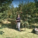 ���������� �������, ���� ������� �������, 75 ���, ������������ ��� ������, ����� � ���������