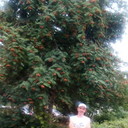  ,   , 45 ,   ,   , c 