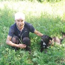  ,   , 55 ,   ,   