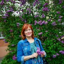 ���������� �����, ���� ������� �����, 56 ���, ������������ ��� ����� � ���������, c�������� ���������