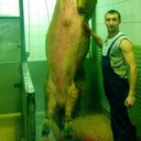 ���������� �����, ���� ������� ����, 38 ���, ������������ ��� ������, ����� � ���������, c�������� ���������, ���������