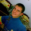  ,   , 37 ,   