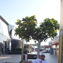 -,   , 45 ,   ,   , c 