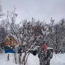 ���������� �����-���������, ���� ������� �������, 49 ���, ������������ 