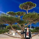 ���������� ������-��-����, ���� ������� ������, 41 ���, ������������ ��� ������, ����� � ���������