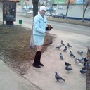 ���������� ������, ���� ������� ������, 28 ���, ������������ ��� ������, ����� � ���������, c�������� ���������, ���������