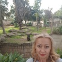  ,   , 50 ,  