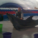  ,   Aleksandr, 36 ,   ,   , c 