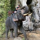 ���������� ������, ���� ������� �����, 33 ����, ������������ ��� ������, ����� � ���������