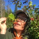 ���������� ��������, ���� ������� �����, 63 ����, ������������ ��� c�������� ���������