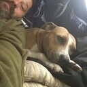 ���������� ������, ���� ������� ���, 44 ����, ������������ ��� ������, ����� � ���������