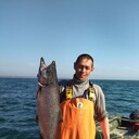  ,   , 51 ,   ,   
