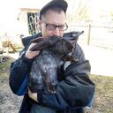 ���������� ������, ���� ������� �������, 51 ���, ������������ ��� ������, ����� � ���������