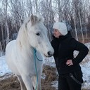 ���������� ���������, ���� ������� �����, 40 ���, ������������ ��� ���������