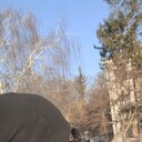 ���������� ������, ���� ������� ����, 38 ���, ������������ ��� ������, ����� � ���������, c�������� ���������