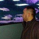 ���������� ������, ���� ������� Shavkat, 45 ���, ������������ ��� ������, ����� � ���������, c�������� ���������