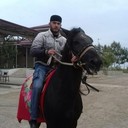 ���������� ��������, ���� ������� Jaxon, 32 ����, ������������ ��� ����� � ���������, c�������� ���������