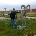  ,   Aslan, 40 ,   