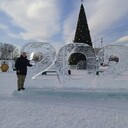 ���������� �����������-��-�����, ���� ������� Nikolai, 33 ����, ������������ ��� ������, ����� � ���������, c�������� ���������