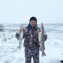 ���������� ������, ���� ������� �������, 46 ���, ������������ ��� ������, ����� � ���������, c�������� ���������, ���������