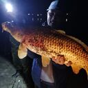 ���������� ���������, ���� ������� �������, 47 ���, ������������ ��� ������, ����� � ���������