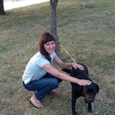 ���������� �����, ���� ������� �����, 43 ����, ������������ 