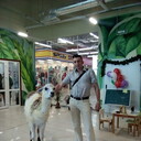  ,   , 39 ,   ,   , c 