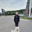 ���������� �����, ���� ������� ����, 51 ���, ������������ ��� c�������� ���������