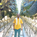  -,   , 50 ,  