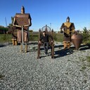  ,   , 31 ,     , c , 