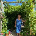  ,   , 62 ,  