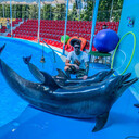 ���������� �����, ���� ������� ���������, 32 ����, ������������ ��� ������, ����� � ���������