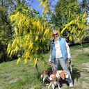  ,   , 61 ,   ,   , c , 