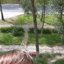 ���������� ��������, ���� ������� ���������, 41 ���, ������������ ��� ������, ����� � ���������, c�������� ���������