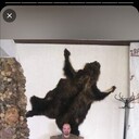 ���������� ������, ���� ������� Rus, 33 ����, ������������ ��� ������