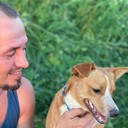 ���������� ������ ��������, ���� ������� �����, 38 ���, ������������ ��� ������, ����� � ���������