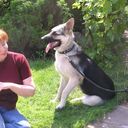 ���������� �����-���������, ���� ������� �������, 54 ����, ������������ 