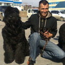 ���������� �������, ���� ������� �������, 50 ���, ������������ ��� ������, ����� � ���������, c�������� ���������