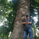 ���������� �������, ���� ������� �����, 49 ���, ������������ ��� ����� � ���������, c�������� ���������