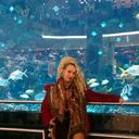 ���������� ����, ���� ������� ����, 36 ���, ������������ ��� ������