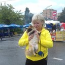  ,   , 63 ,  