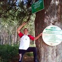 ���������� ������������, ���� ������� ������, 48 ���, ������������ ��� ������, ����� � ���������, c�������� ���������, ���������