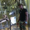  -,   VForVendetta, 37 ,   