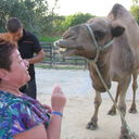 ���������� ������, ���� ������� ���������, 38 ���, ������������ ��� ������