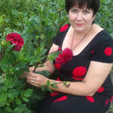 ���������� ��������, ���� ������� ������, 60 ���, ������������ 