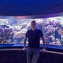  Essen,   , 31 ,   ,   