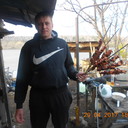 ���������� ��������, ���� ������� ������, 46 ���, ������������ ��� ������