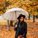 ���������� �������, ���� ������� ����, 35 ���, ������������ ��� ������, ����� � ���������